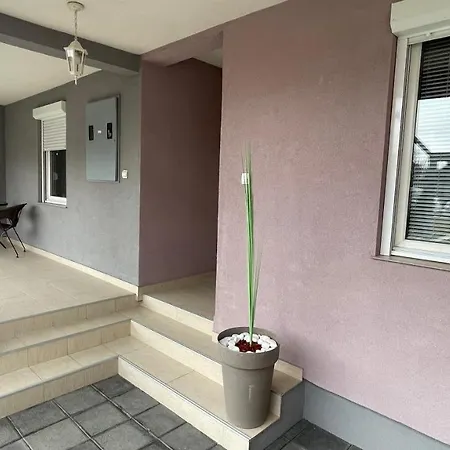 Charlie&blueberries * 贝尔格莱德