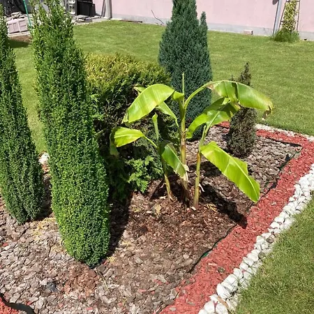 公寓 Charlie&blueberries