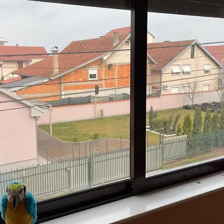 Charlie&blueberries Apartmán Bělehrad