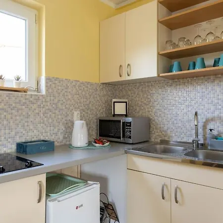 Charlie&blueberries 公寓 贝尔格莱德