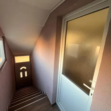 公寓 Charlie&blueberries 贝尔格莱德