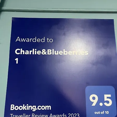 Charlie&blueberries * Belgrade