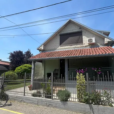 Charlie&blueberries * Bělehrad