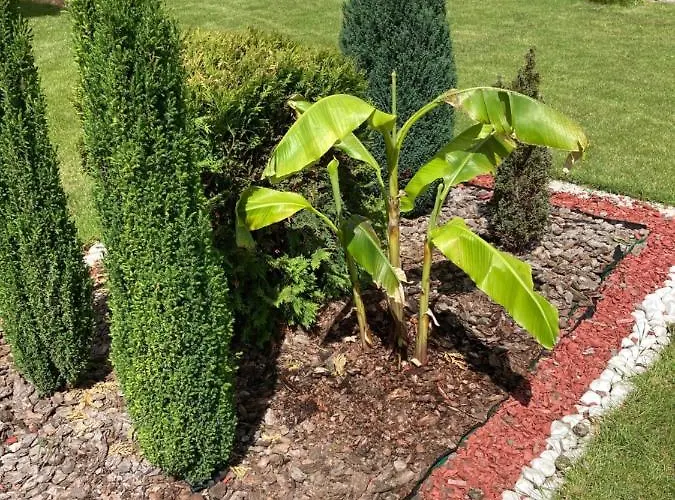 شقة Charlie&blueberries