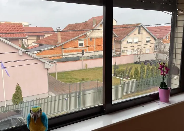 Charlie&blueberries شقة بلغراد