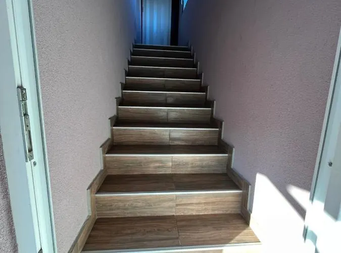 Charlie&blueberries * بلغراد